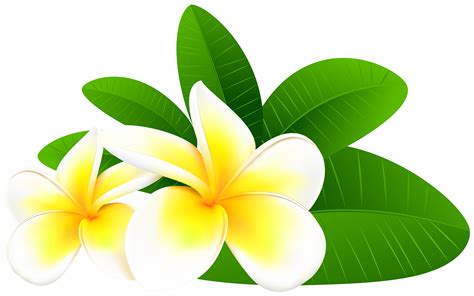Plumeria clip art - Plumeria bundle SVG's, Floral illustration icons for cut files/Digital art/Clip art. This set includes 8 Plumeria designs in 2 different styles; In the standard black outline as shown and also included is a no outline version! Perfect when making white or light-colored stickers so it doesn't look inverted.